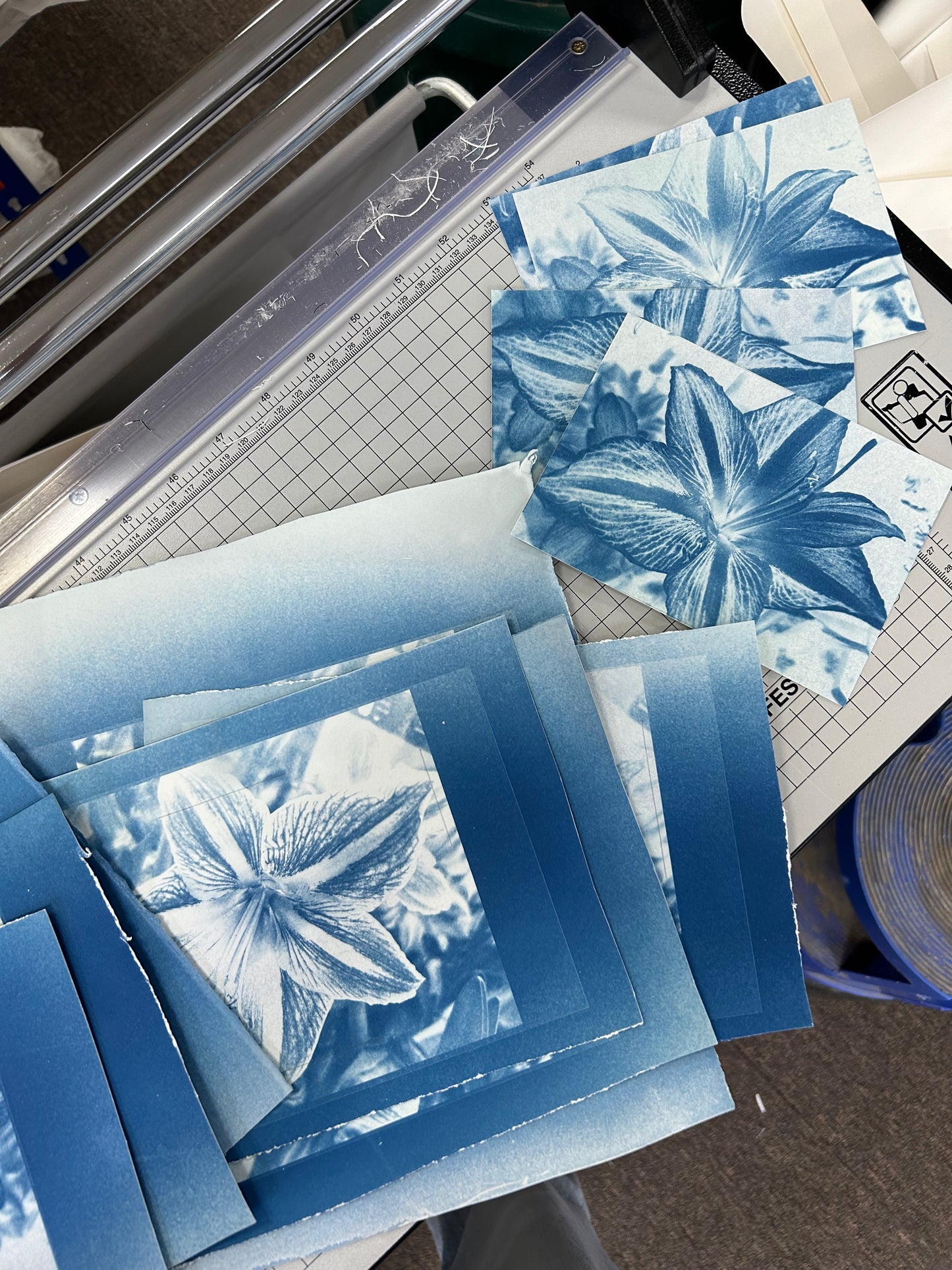 flower invert #2