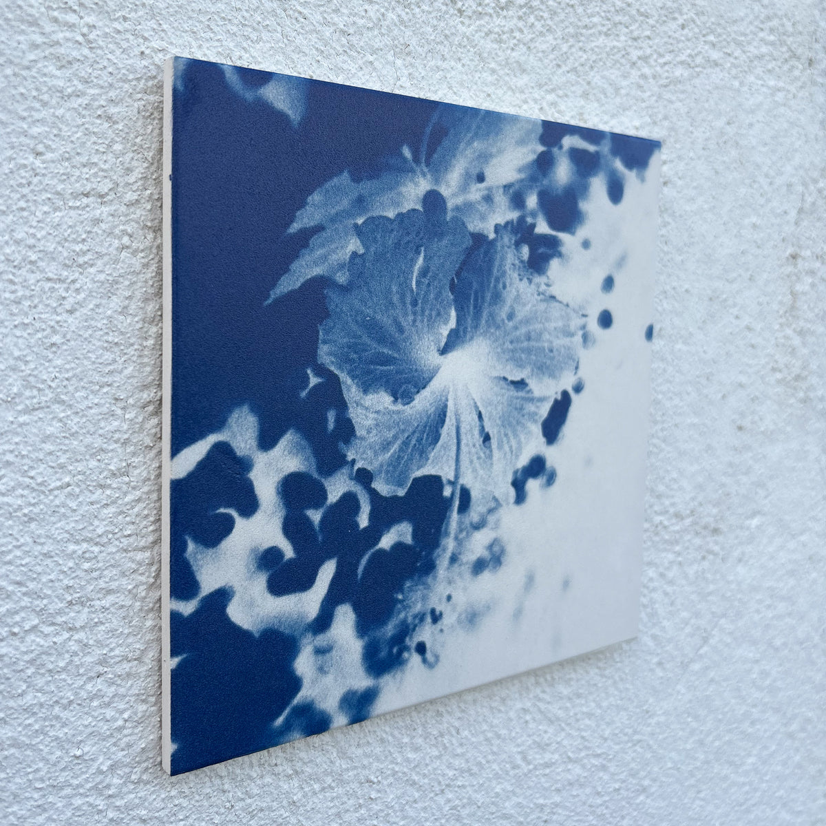 Hibiscus Cyanotype Tile