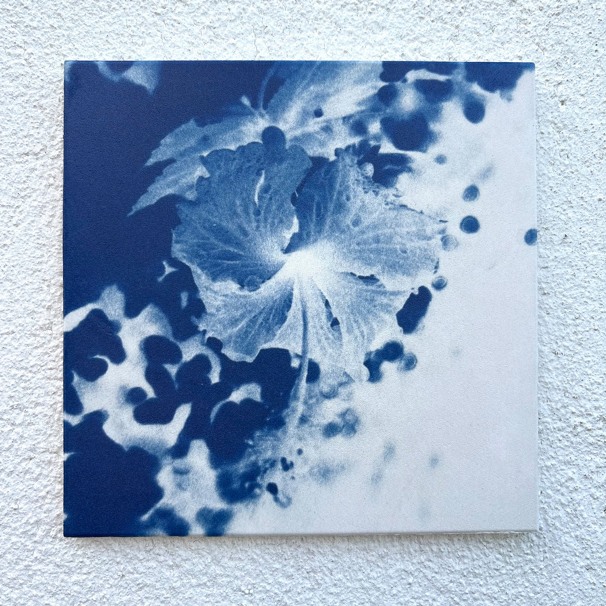 Hibiscus Cyanotype Tile