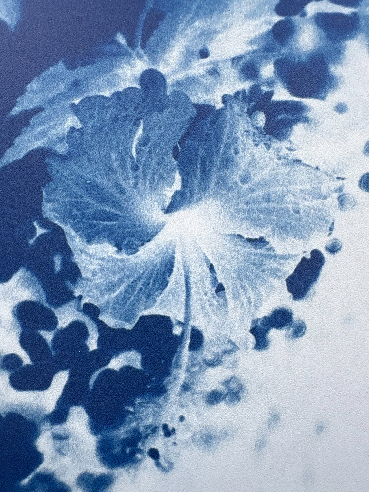 Hibiscus Cyanotype Tile