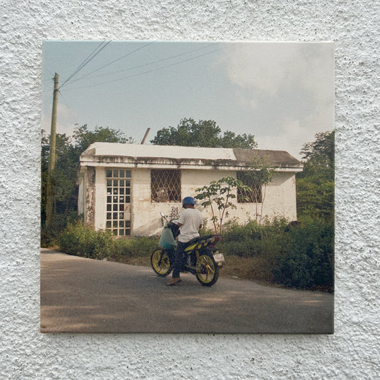 Moto Papi Tile